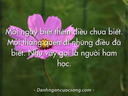 Mỗi ngày biết thêm điều chưa biết. Mỗi tháng quên đi những điều đã biết. Như vậy gọi là người ham học.