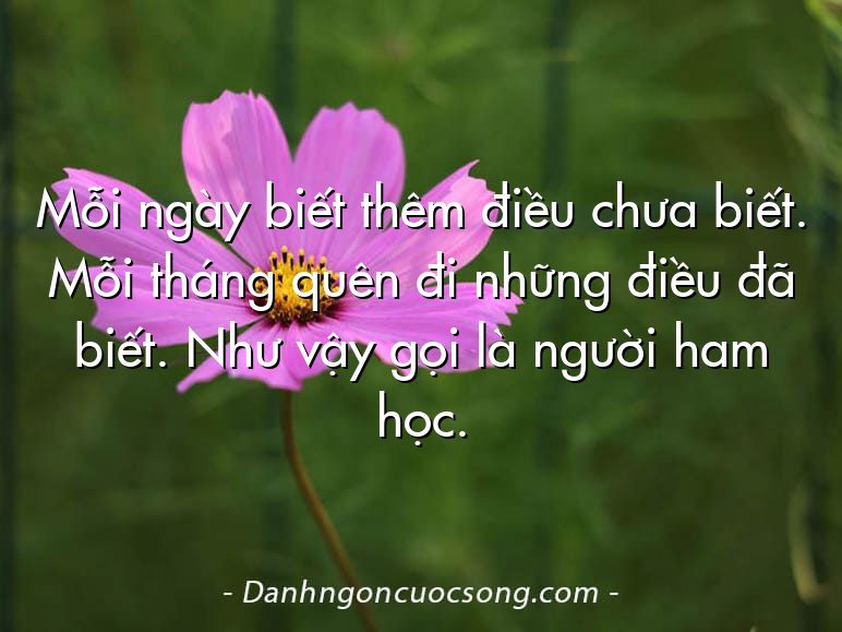 Mỗi ngày biết thêm điều chưa biết. Mỗi tháng quên đi những điều đã biết. Như vậy gọi là người ham học.