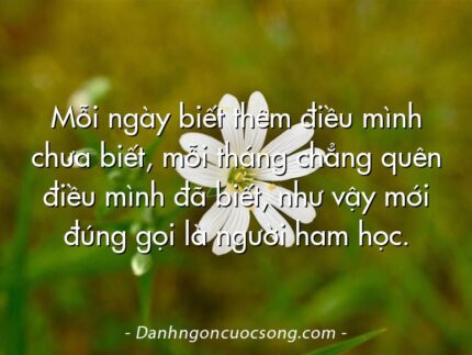 Mỗi ngày biết thêm điều mình chưa biết, mỗi tháng chẳng quên điều mình đã biết, như vậy mới đúng gọi là người ham học.