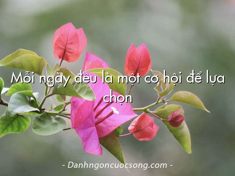 Mỗi ngày đều là một cơ hội để lựa chọn