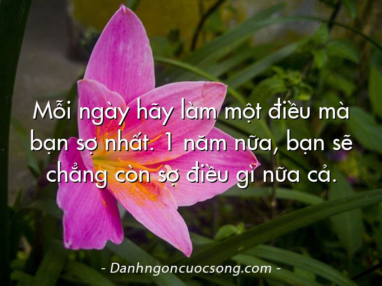 Mỗi ngày hãy làm một điều mà bạn sợ nhất. 1 năm nữa, bạn sẽ chẳng còn sợ điều gì nữa cả.
