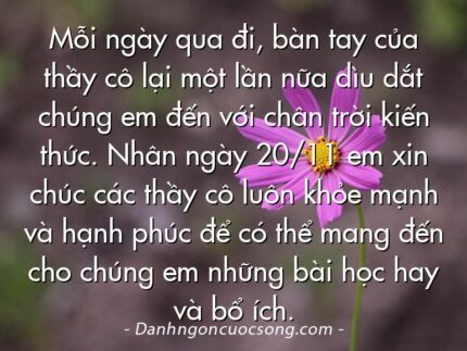 Mỗi ngày qua đi, bàn tay của thầy cô lại một lần nữa dìu dắt chúng em đến với chân trời kiến thức. Nhân ngày 20/11 em xin chúc các thầy cô luôn khỏe mạnh và hạnh phúc để có thể mang đến cho chúng em những bài học hay và bổ ích.