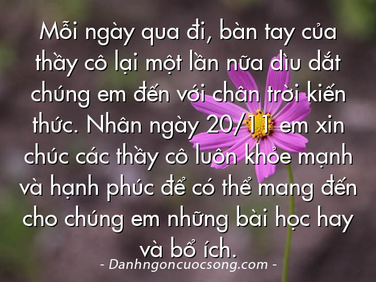 Mỗi ngày qua đi, bàn tay của thầy cô lại một lần nữa dìu dắt chúng em đến với chân trời kiến thức. Nhân ngày 20/11 em xin chúc các thầy cô luôn khỏe mạnh và hạnh phúc để có thể mang đến cho chúng em những bài học hay và bổ ích.