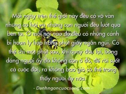 Mỗi ngày trên thế giới này đều có vô vàn những cơ hội và những con người đều lướt qua bên ta. Ở mỗi nơi nào đó đều có những cảnh bi hoan ly hợp trong phút giây ngắn ngủi. Có thể chỉ một phút sau, khi quay đầu lại, bóng dáng người ấy đã không còn ở đó, để rồi suốt cả cuộc đời, ra không bao giờ có thể trong thấy người ấy nữa.