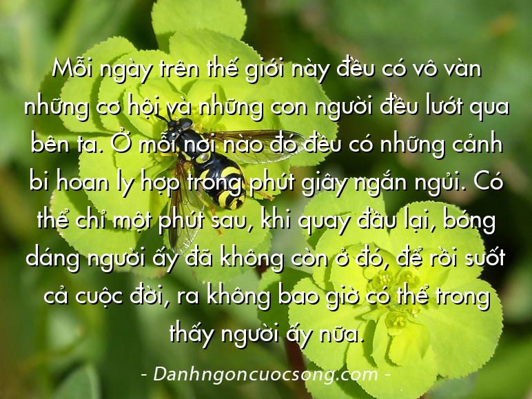 Mỗi ngày trên thế giới này đều có vô vàn những cơ hội và những con người đều lướt qua bên ta. Ở mỗi nơi nào đó đều có những cảnh bi hoan ly hợp trong phút giây ngắn ngủi. Có thể chỉ một phút sau, khi quay đầu lại, bóng dáng người ấy đã không còn ở đó, để rồi suốt cả cuộc đời, ra không bao giờ có thể trong thấy người ấy nữa.