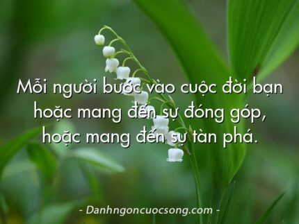 Mỗi người bước vào cuộc đời bạn hoặc mang đến sự đóng góp, hoặc mang đến sự tàn phá.