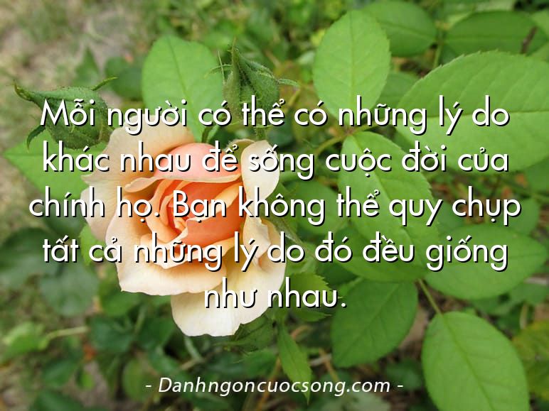 Mỗi người có thể có những lý do khác nhau để sống cuộc đời của chính họ. Bạn không thể quy chụp tất cả những lý do đó đều giống như nhau.