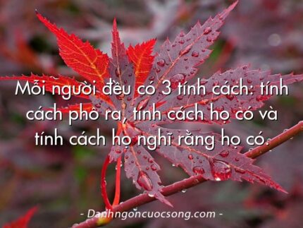 Mỗi người đều có 3 tính cách: tính cách phô ra, tính cách họ có và tính cách họ nghĩ rằng họ có.