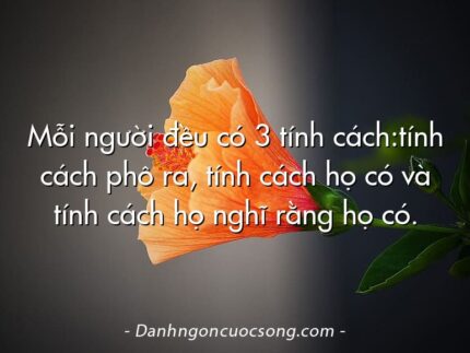 Mỗi người đều có 3 tính cách:tính cách phô ra, tính cách họ có và tính cách họ nghĩ rằng họ có.