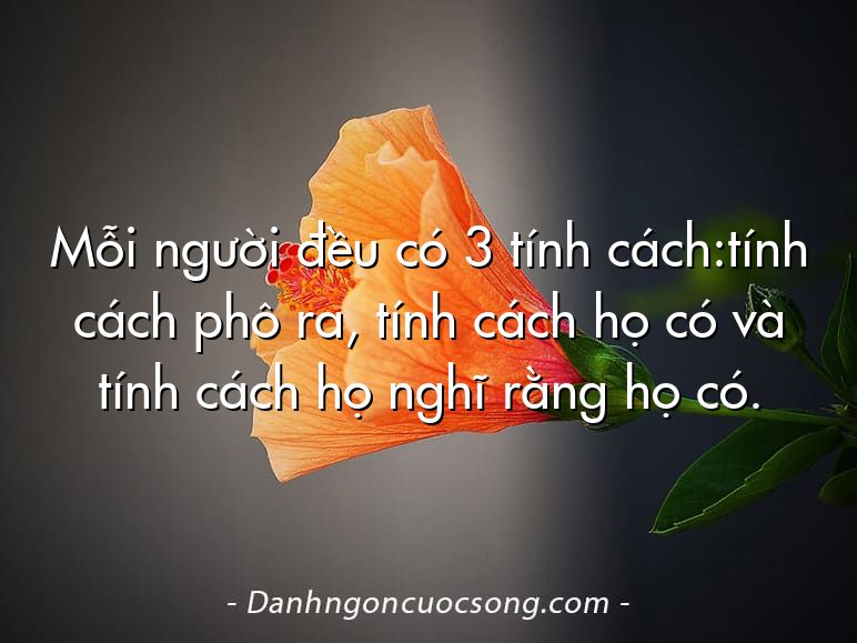 Mỗi người đều có 3 tính cách:tính cách phô ra, tính cách họ có và tính cách họ nghĩ rằng họ có.