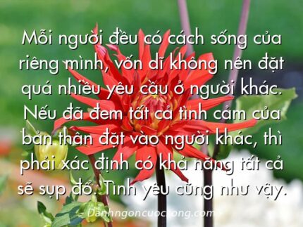 Mỗi người đều có cách sống của riêng mình, vốn dĩ không nên đặt quá nhiều yêu cầu ở người khác. Nếu đã đem tất cả tình cảm của bản thân đặt vào người khác, thì phải xác định có khả năng tất cả sẽ sụp đổ. Tình yêu cũng như vậy.