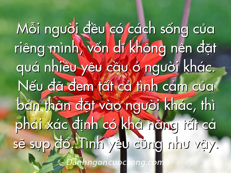 Mỗi người đều có cách sống của riêng mình, vốn dĩ không nên đặt quá nhiều yêu cầu ở người khác. Nếu đã đem tất cả tình cảm của bản thân đặt vào người khác, thì phải xác định có khả năng tất cả sẽ sụp đổ. Tình yêu cũng như vậy.