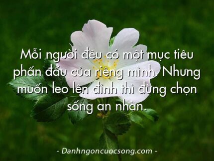 Mỗi người đều có một mục tiêu phấn đấu của riêng mình. Nhưng muốn leo lên đỉnh thì đừng chọn sống an nhàn.