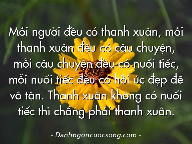 Mỗi người đều có thanh xuân, mỗi thanh xuân đều có câu chuyện, mỗi câu chuyện đều có nuối tiếc, mỗi nuối tiếc đều có hồi ức đẹp đẽ vô tận. Thanh xuân không có nuối tiếc thì chẳng phải thanh xuân.