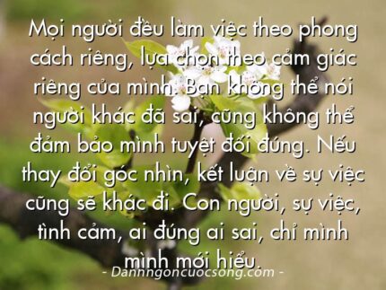 Mọi người đều làm việc theo phong cách riêng, lựa chọn theo cảm giác riêng của mình. Bạn không thể nói người khác đã sai, cũng không thể đảm bảo mình tuyệt đối đúng. Nếu thay đổi góc nhìn, kết luận về sự việc cũng sẽ khác đi. Con người, sự việc, tình cảm, ai đúng ai sai, chỉ mình mình mới hiểu.