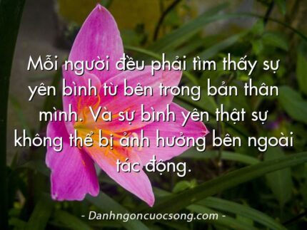 Mỗi người đều phải tìm thấy sự yên bình từ bên trong bản thân mình. Và sự bình yên thật sự không thể bị ảnh hưởng bên ngoài tác động.