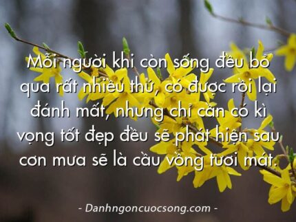 Mỗi người khi còn sống đều bỏ qua rất nhiều thứ, có được rồi lại đánh mất, nhưng chỉ cần có kì vọng tốt đẹp đều sẽ phát hiện sau cơn mưa sẽ là cầu vồng tươi mát.