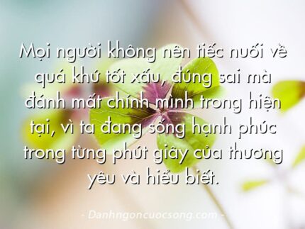 Mọi người không nên tiếc nuối về quá khứ tốt xấu, đúng sai mà đánh mất chính mình trong hiện tại, vì ta đang sống hạnh phúc trong từng phút giây của thương yêu và hiểu biết.