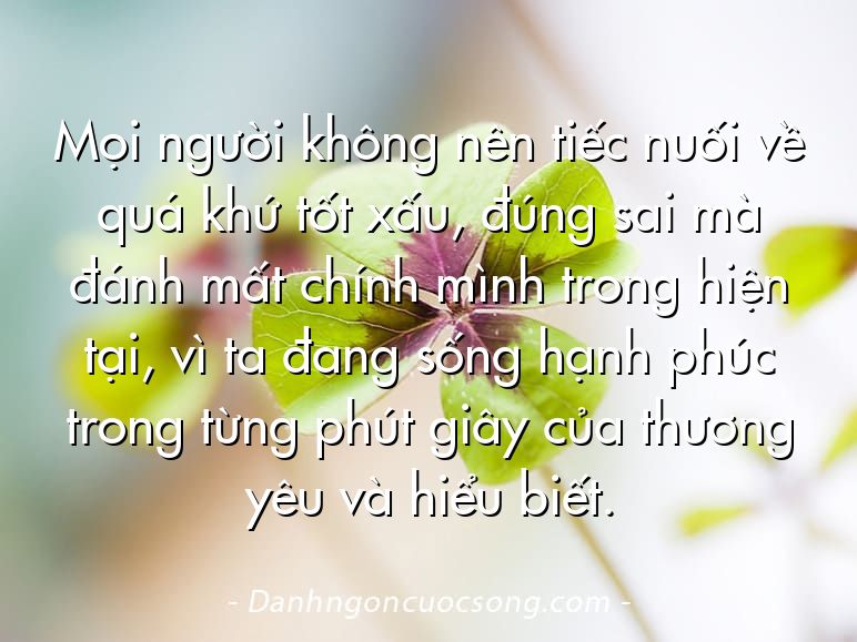 Mọi người không nên tiếc nuối về quá khứ tốt xấu, đúng sai mà đánh mất chính mình trong hiện tại, vì ta đang sống hạnh phúc trong từng phút giây của thương yêu và hiểu biết.