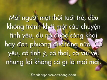 Mỗi người một thời tuổi trẻ, đều không tránh khỏi một câu chuyện tình yêu, dù nó được công khai hay đơn phương đi chăng nữa. Có yêu, có tình ý, có thai, có vui vẻ, nhưng lại không có gì là mãi mãi.