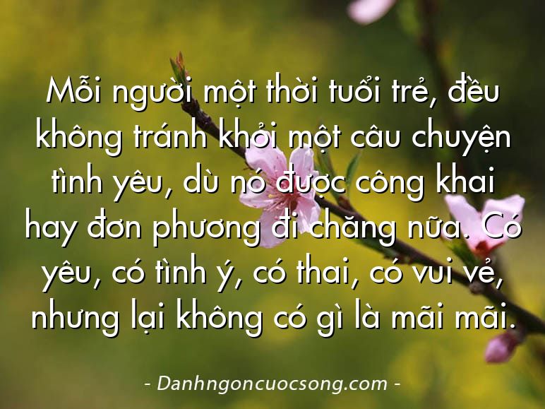 Mỗi người một thời tuổi trẻ, đều không tránh khỏi một câu chuyện tình yêu, dù nó được công khai hay đơn phương đi chăng nữa. Có yêu, có tình ý, có thai, có vui vẻ, nhưng lại không có gì là mãi mãi.