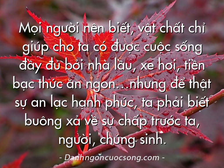 Mọi người nên biết, vật chất chỉ giúp cho ta có được cuộc sống đầy đủ bởi nhà lầu, xe hơi, tiền bạc thức ăn ngon…nhưng để thật sự an lạc hạnh phúc, ta phải biết buông xả về sự chấp trước ta, người, chúng sinh.