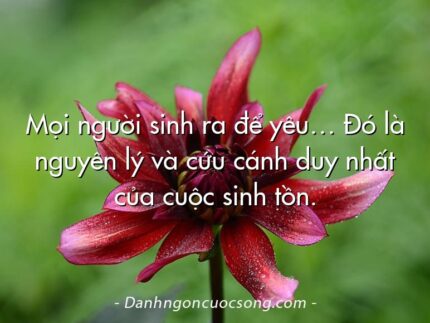 Mọi người sinh ra để yêu… Đó là nguyên lý và cứu cánh duy nhất của cuộc sinh tồn.