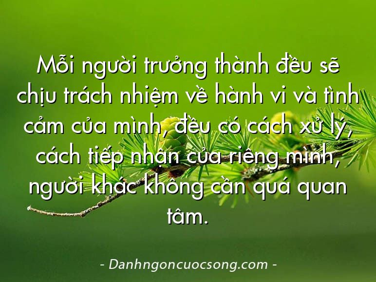 Mỗi người trưởng thành đều sẽ chịu trách nhiệm về hành vi và tình cảm của mình, đều có cách xử lý, cách tiếp nhận của riêng mình, người khác không cần quá quan tâm.