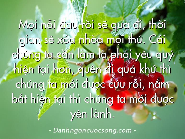 Mọi nỗi đau rồi sẽ qua đi, thời gian sẽ xóa nhòa mọi thứ. Cái chúng ta cần làm là phải yêu quý hiện tại hơn, quên đi quá khứ thì chúng ta mới được cứu rỗi, nắm bắt hiện tại thì chúng ta mới được yên lành.