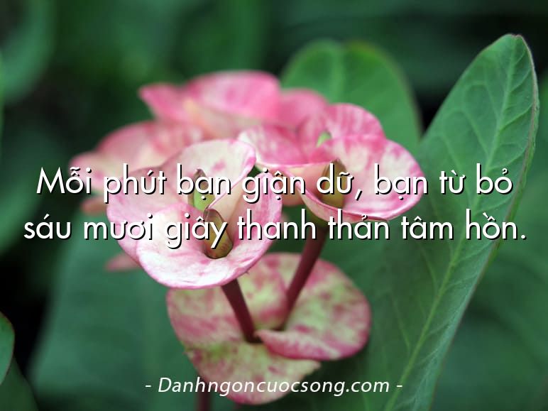 Mỗi phút bạn giận dữ, bạn từ bỏ sáu mươi giây thanh thản tâm hồn.