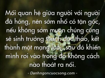 Mối quan hệ giữa người với người đã hỏng, nên sớm nhổ cỏ tận gốc, nếu không sớm muộn chúng cũng sẽ sinh trưởng thành độc thảo, kết thành một mạng lưới, sau đó khiến mình rơi vào trong đó không cách nào thoát ra nổi.