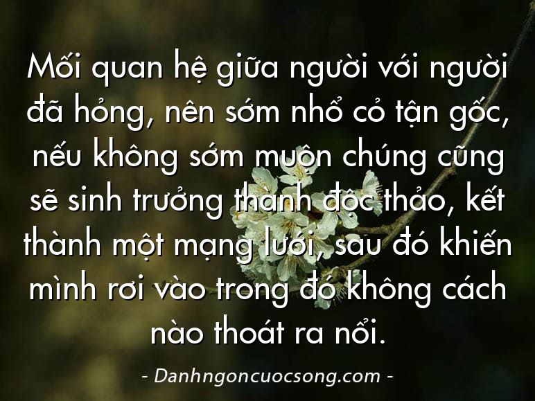 Mối quan hệ giữa người với người đã hỏng, nên sớm nhổ cỏ tận gốc, nếu không sớm muộn chúng cũng sẽ sinh trưởng thành độc thảo, kết thành một mạng lưới, sau đó khiến mình rơi vào trong đó không cách nào thoát ra nổi.