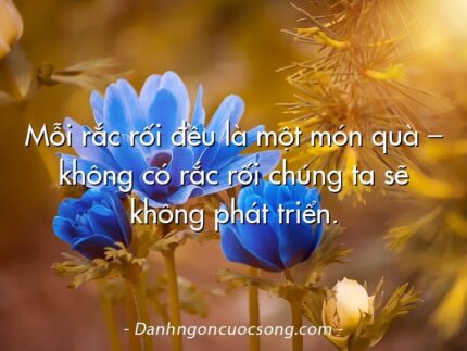 Mỗi rắc rối đều là một món quà – không có rắc rối chúng ta sẽ không phát triển.