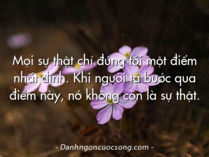 Mọi sự thật chỉ đúng tới một điểm nhất định. Khi người ta bước qua điểm này, nó không còn là sự thật.