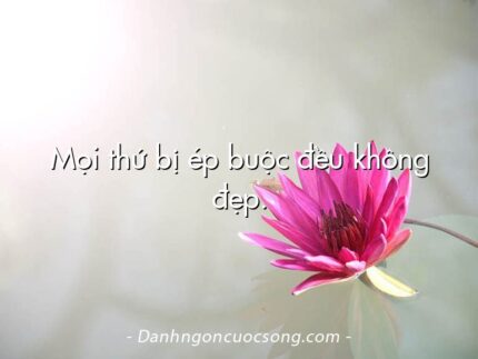 Mọi thứ bị ép buộc đều không đẹp.