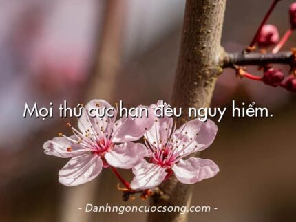 Mọi thứ cực hạn đều nguy hiểm.