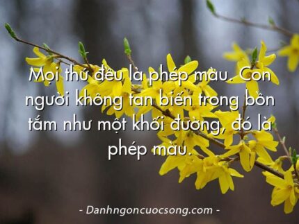Mọi thứ đều là phép màu. Con người không tan biến trong bồn tắm như một khối đường, đó là phép màu.
