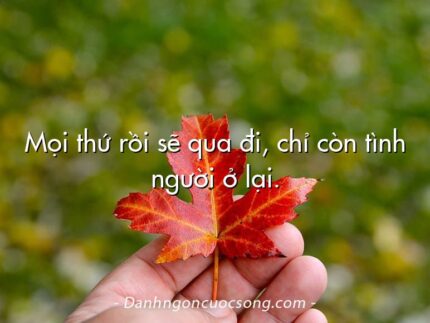 Mọi thứ rồi sẽ qua đi, chỉ còn tình người ở lại.