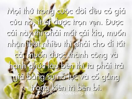 Mọi thứ trong cuộc đời đều có giá của nó, ít ai được trọn vẹn. Được cái này thì phải mất cái kia, muốn nhận thật nhiều thì phải cho đi tất cả, muốn được thành công và hạnh phúc lâu bền thì ta phải trả giá bằng sự nỗ lực và cố gắng trong kiên trì bền bỉ.