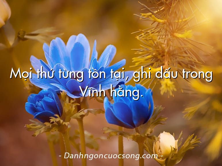 Mọi thứ từng tồn tại, ghi dấu trong Vĩnh hằng.