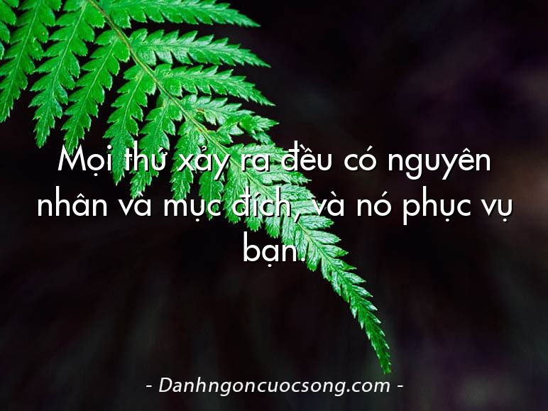 Mọi thứ xảy ra đều có nguyên nhân và mục đích, và nó phục vụ bạn.