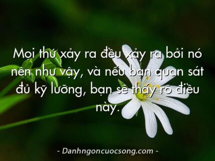Mọi thứ xảy ra đều xảy ra bởi nó nên như vậy, và nếu bạn quan sát đủ kỹ lưỡng, bạn sẽ thấy rõ điều này.