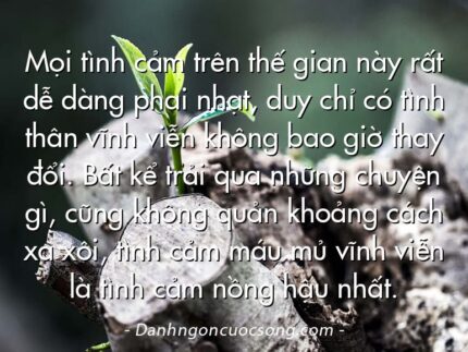 Mọi tình cảm trên thế gian này rất dễ dàng phai nhạt, duy chỉ có tình thân vĩnh viễn không bao giờ thay đổi. Bất kể trải qua những chuyện gì, cũng không quản khoảng cách xa xôi, tình cảm máu mủ vĩnh viễn là tình cảm nồng hậu nhất.