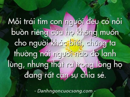 Mỗi trái tim con người đều có nỗi buồn riêng của họ không muốn cho người khác biết, chúng ta thường nói người nào đó lạnh lùng, nhưng thật ra trong lòng họ đang rất cần sự chia sẻ.