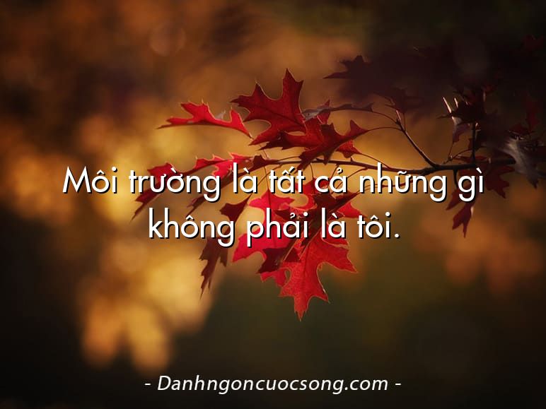 Môi trường là tất cả những gì không phải là tôi.