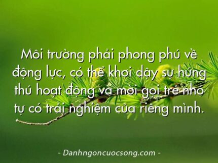 Môi trường phải phong phú về động lực, có thể khơi dậy sự hứng thú hoạt động và mời gọi trẻ nhỏ tự có trải nghiệm của riêng mình.