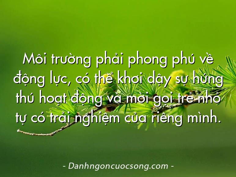 Môi trường phải phong phú về động lực, có thể khơi dậy sự hứng thú hoạt động và mời gọi trẻ nhỏ tự có trải nghiệm của riêng mình.