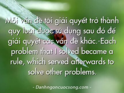 Mỗi vấn đề tôi giải quyết trở thành quy luật được sử dụng sau đó để giải quyết các vấn đề khác.-Each problem that I solved became a rule, which served afterwards to solve other problems.
