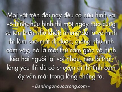 Mọi vật trên đời này đều có hữu hình và vô hình, hữu hình thì một ngày nào cũng sẽ tan biến như khói, nhưng đã là vô hình thì làm sao mất đi được, giống như tình cảm vậy, nó là một thứ cảm giác vô hình kéo hai người lại với nhau, nếu là thật lòng yêu thì dù có chuyện gì thì tình cảm ấy vẫn mãi trong lòng chúng ta.