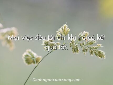 Mọi việc đều tốt chỉ khi nó có kết quả tốt.